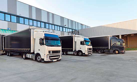 Transporte Profesional Transporte Profesional