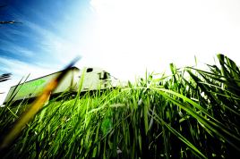 Camión pasando por campo