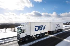 Flota DSV 