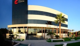 Caliche crece un 11,6% y roza los 300 millones de euros de facturación